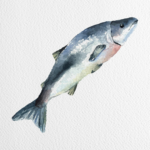 Fish with Nick Price